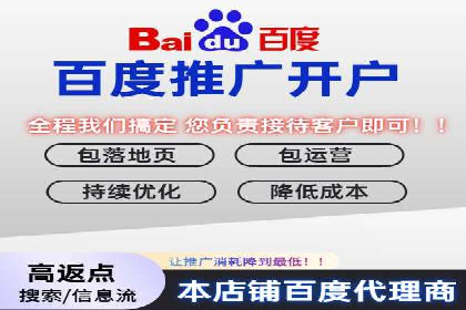 某某sem推广公司在某行业的应用与效果分析